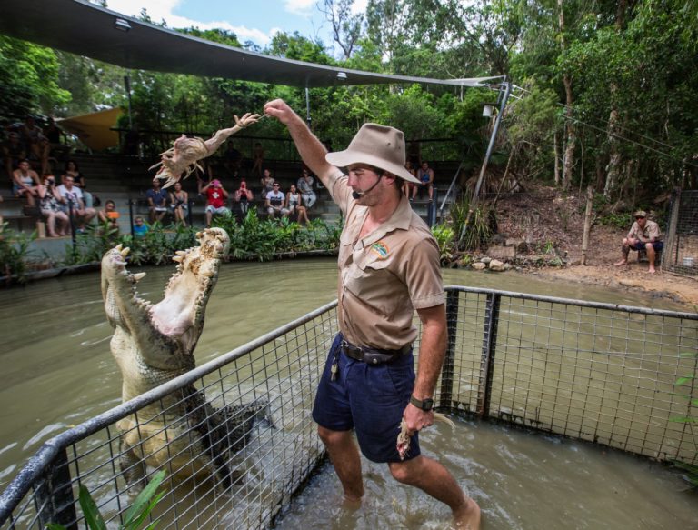 Cairns’ Hartley’s Crocodile Adventures is getting EVEN bigger & better